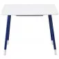 Preview: Flexa White Schreibtisch in deckend weiß/blau