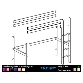 Flexa Basic B-Ware - Trendy Baup. Hochbett ger Leiter weiß